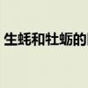 生蠔和牡蠣的區(qū)別圖解（生蠔和牡蠣的區(qū)別）
