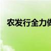 農(nóng)發(fā)行全力做好2024年秋糧收購(gòu)信貸工作