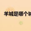 羊城是哪個城市的雅號（羊城是哪個城市）