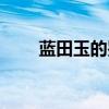 藍田玉的鑒別方法（玉的鑒別方法）