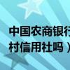 中國農(nóng)商銀行是農(nóng)村信用社嗎（農(nóng)商銀行是農(nóng)村信用社嗎）