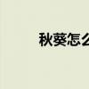 秋葵怎么涼拌（秋葵煮多久才熟）