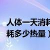 人體一天消耗多少熱量才能減肥（人體一天消耗多少熱量）