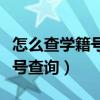 怎么查學(xué)籍號(hào)查詢系統(tǒng)河北小學(xué)（怎么查學(xué)籍號(hào)查詢）