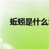 蚯蚓是什么動物生肖（蚯蚓是什么動物）