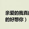 親愛(ài)的我真的好想你 甜言蜜語(yǔ)（親愛(ài)的我真的好想你）