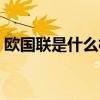 歐國聯(lián)是什么樣的比賽（歐國聯(lián)是什么比賽）