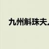 九州斛珠夫人 結(jié)局（九州斛珠夫人結(jié)局）