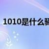 1010是什么騷擾電話（1010是詐騙電話嗎）