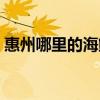 惠州哪里的海鮮最便宜（哪里的海鮮最便宜）