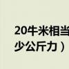 20牛米相當于多少公斤力（220牛米等于多少公斤力）