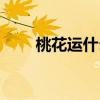 桃花運(yùn)什么意思（桃花劫什么意思）