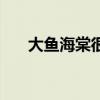 大魚海棠很感人（大魚海棠感人臺詞）