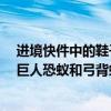 進(jìn)境快件中的鞋子內(nèi)藏6只螞蟻被海關(guān)查獲，專業(yè)鑒定：為巨人恐蟻和弓背蟻