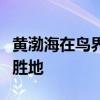 黃渤海在鳥界“火”了！新晉世界遺產(chǎn)成觀鳥勝地