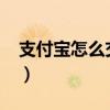 支付寶怎么交醫(yī)保2025（支付寶怎么交醫(yī)保）