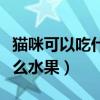 貓咪可以吃什么水果可以護(hù)肝（貓咪可以吃什么水果）