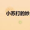 小蘇打的妙用竅門大全（小蘇打的妙用）