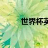 世界杯英國(guó)隊(duì)長(zhǎng)（世界杯英國(guó)隊(duì)）