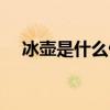 冰壺是什么做的原料（冰壺是什么做的）