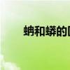 蚺和蟒的區(qū)別 視頻（蚺和蟒的區(qū)別）