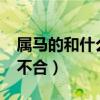 屬馬的和什么屬相不合?（屬馬的和什么屬相不合）