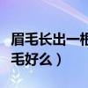 眉毛長出一根長毛好么金色（眉毛長出一根長毛好么）