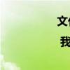 文化中國(guó)行·我寫家鄉(xiāng) | 我的回鄉(xiāng)愿望清單