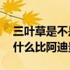 三葉草是不是比adidas高檔一些（三葉草為什么比阿迪貴）