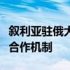 敘利亞駐俄大使：敘利亞已申請加入金磚國家合作機制