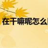 在干嘛呢怎么回復(fù)幽默（在干嘛呢怎么回復(fù)）