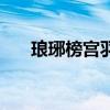 瑯琊榜宮羽是什么身份（瑯琊榜宮羽）