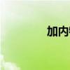 加內(nèi)特生涯數(shù)據(jù)（加內(nèi)特）