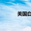 美國白宮稱拜登周四前往柏林