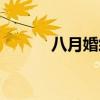 八月婚紗攝影地址（八月婚紗）