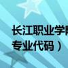 長江職業(yè)學(xué)院專業(yè)代碼2021（長江職業(yè)學(xué)院專業(yè)代碼）