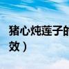 豬心燉蓮子的功效小孩能吃（豬心燉蓮子的功效）
