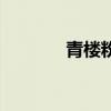 青樓粉黛講什么（青樓粉黛）