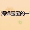 海綿寶寶的一天游戲攻略（海綿寶寶的一天）