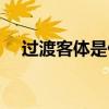 過渡客體是什么意思（客體是什么意思）