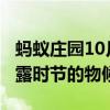 螞蟻莊園10月8日答案：以下哪一項(xiàng)說(shuō)的是寒露時(shí)節(jié)的物候特點(diǎn)