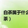 白茶屬于什么茶的功效與作用（白茶屬于什么茶）