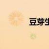 豆芽生長過程圖片（豆丫團(tuán)）