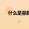 什么是基數(shù)什么是偶數(shù)（什么是偶數(shù)）