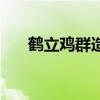鶴立雞群造句一年級（鶴立雞群造句）