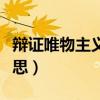 辯證唯物主義是什么意思（唯物主義是什么意思）