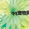 qq寵物網(wǎng)頁版登錄（登陸qq寵物）