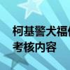 柯基警犬福仔轉正了 通過了為它量身定制的考核內容