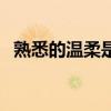 熟悉的溫柔是什么意思（熟悉的溫柔歌詞）