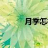 月季怎樣修剪（月季怎么修剪）